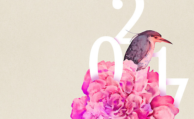 PSD 편집이미지 한마리 꽃 카드템플릿 조류 수채화 근하신년 새해 사람없음 연하장 엽서 2017년 이미지편집 카드프레임 식물 동물 템플릿 1 카드_감사 프레임 편지 연도 파일형식