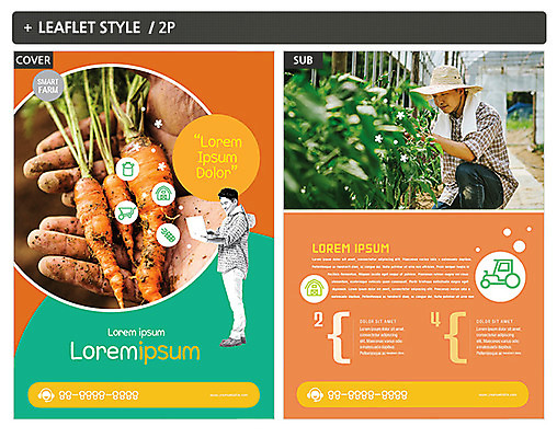 템플릿 손 남자 ZIP 포스터 리플렛 40대 성인 신체부위 세명 당근 한국인 농부 전단템플릿 전단 인디자인 INDD 이미지템플릿 직업 중년 뿌리채소 사람 동양인 홍보물 파일형식