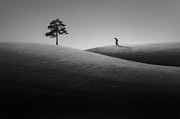 JPG 전신 나무 편집이미지 남자 흑백 고개숙이기 한명 성인 야외 옆모습 어둠 고독 언덕 디지털합성 디지털아트 성인남자한명만 편집실사 식물 1 감정 뷰포인트 촬영기법 숙이기 사람 CG 남자한명만 성인남자만 파일형식