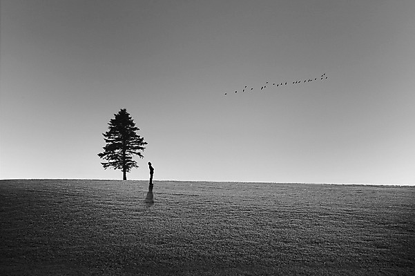 JPG 전신 나무 편집이미지 남자 조류 흑백 한명 성인 야외 옆모습 어둠 고독 언덕 디지털합성 디지털아트 성인남자한명만 편집실사 식물 동물 1 감정 뷰포인트 촬영기법 사람 CG 남자한명만 성인남자만 파일형식