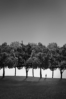 JPG 전신 나무 편집이미지 여자 어린이 흑백 한명 서기 야외 어둠 고독 숲 언덕 디지털합성 디지털아트 소녀한명만 편집실사 식물 1 감정 모션 촬영기법 사람 CG 여자한명만 소녀만 파일형식