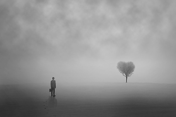 JPG 전신 나무 편집이미지 남자 흑백 한명 서기 성인 야외 뒷모습 어둠 안개 고독 발자국 언덕 디지털합성 디지털아트 성인남자한명만 편집실사 식물 1 감정 뷰포인트 자국 모션 날씨 촬영기법 사람 CG 남자한명만 성인남자만 파일형식