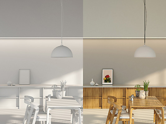 PSD 식물 편집이미지 액자 의자 식탁 조명 사람없음 그래픽 인테리어 3D 꽃병 공간 비교 디지털합성 디지털아트 편집3D 디자인 꽃 가구 컨셉 탁자 파일형식