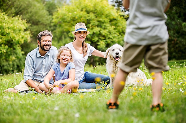 포토 JPG 주간 전신 서양인 외국인 한마리 응시 여자 남자 어린이 가족 웃음 앉기 초원 여러명 성인 야외 뒷모습 아웃포커스 소풍 하반신 개 국내포토 자연요소 1 시선 뷰포인트 다수 포유류 관계 모션 촬영기법 표정 사람 인종 야외활동 파일형식