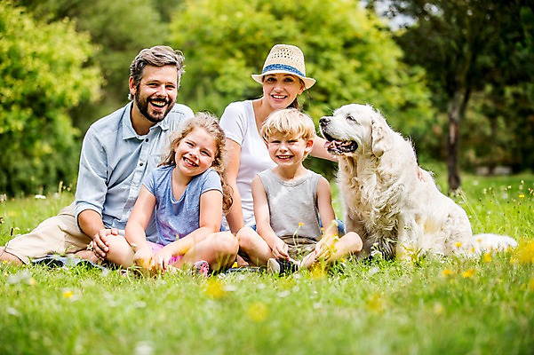 포토 JPG 주간 전신 서양인 외국인 한마리 응시 여자 남자 어린이 가족 웃음 앉기 초원 여러명 상반신 성인 야외 앞모습 소풍 개 국내포토 자연요소 1 시선 뷰포인트 다수 포유류 관계 모션 표정 사람 인종 야외활동 파일형식