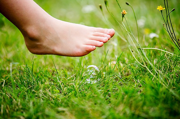 포토 JPG 주간 서양인 외국인 꽃 어린이 발 한명 초원 야외 신체부위 소풍 하반신 비눗방울 밟기 국내포토 자연요소 식물 1 모션 사람 인종 야외활동 파일형식
