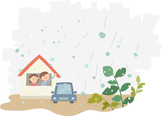 식물 여자 남자 일러스트 자동차 날씨 집안 상반신 성인 두명 우박 국내일러스트 AI파일 육상교통 실내 사람 파일형식 벡터