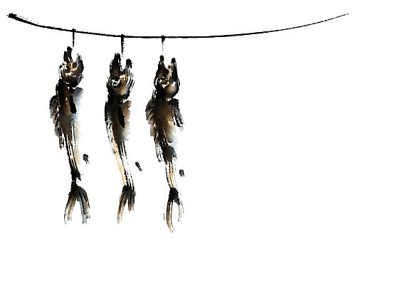 PSD 일러스트 캘리그라피 건조 어류 사람없음 명태 건어물 건조대 국내일러스트 수중동물 생태_생선 파일형식