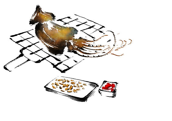 PSD 일러스트 캘리그라피 사람없음 그릴 굽기 안주 오징어 석쇠구이 오징어구이 국내일러스트 주방용품 연체동물 수중동물 구이 파일형식