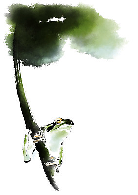 PSD 한마리 일러스트 캘리그라피 개구리 사람없음 풀잎 청개구리 국내일러스트 1 잎 양서류 풀_식물 파일형식