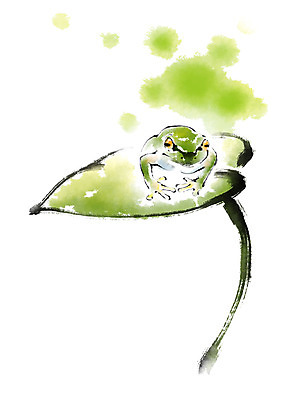 PSD 한마리 일러스트 캘리그라피 개구리 사람없음 연잎 청개구리 국내일러스트 1 잎 양서류 파일형식