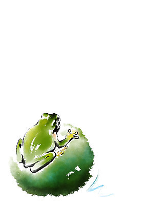 PSD 한마리 일러스트 캘리그라피 개구리 사람없음 연잎 청개구리 국내일러스트 1 잎 양서류 파일형식