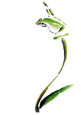 PSD 한마리 일러스트 캘리그라피 개구리 사람없음 풀잎 청개구리 국내일러스트 1 잎 양서류 풀_식물 파일형식