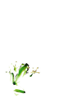 PSD 한마리 일러스트 캘리그라피 개구리 사람없음 청개구리 국내일러스트 1 양서류 파일형식