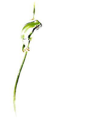 PSD 한마리 일러스트 캘리그라피 개구리 사람없음 풀잎 청개구리 국내일러스트 1 잎 양서류 풀_식물 파일형식
