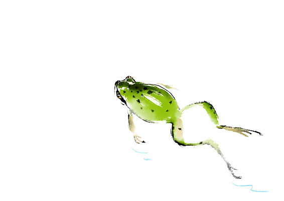 PSD 한마리 일러스트 캘리그라피 개구리 사람없음 청개구리 국내일러스트 1 양서류 파일형식