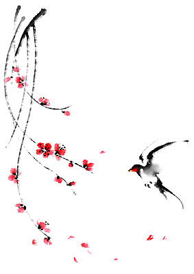 PSD 한마리 일러스트 캘리그라피 사람없음 매화 매화나무 제비 국내일러스트 나무 1 꽃 조류 파일형식