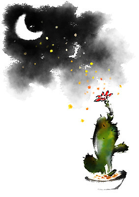PSD 별 일러스트 캘리그라피 선인장 사람없음 야간 초승달 선인장꽃 국내일러스트 자연요소 식물 꽃 달 파일형식