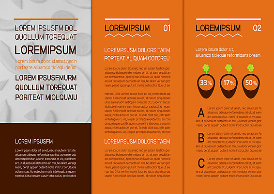 템플릿 표지디자인 북디자인 출판디자인 내지 리플렛 조각 채소 북커버 3단접지 팜플렛 사람없음 당근 슬라이스 이미지템플릿 AI파일 뿌리채소 파일형식 벡터