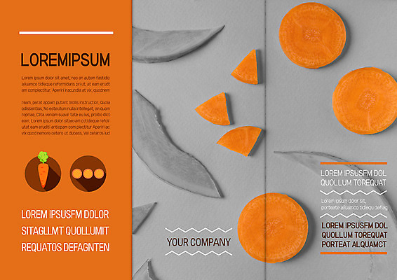 템플릿 표지디자인 북디자인 출판디자인 표지 리플렛 조각 채소 북커버 3단접지 단면 팜플렛 사람없음 당근 슬라이스 이미지템플릿 AI파일 뿌리채소 파일형식 벡터