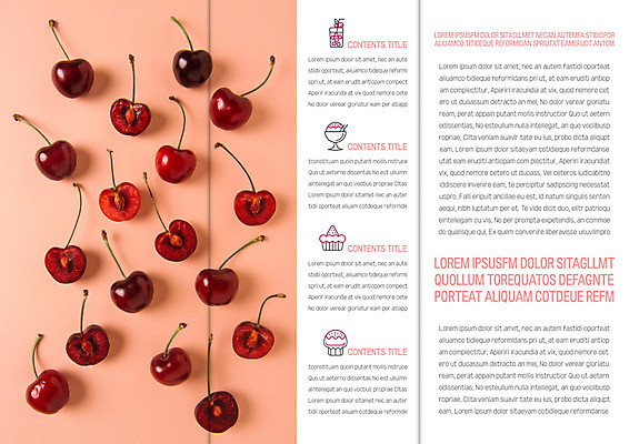 템플릿 표지디자인 북디자인 출판디자인 내지 리플렛 북커버 3단접지 단면 팜플렛 사람없음 체리 이미지템플릿 AI파일 과일 파일형식 벡터