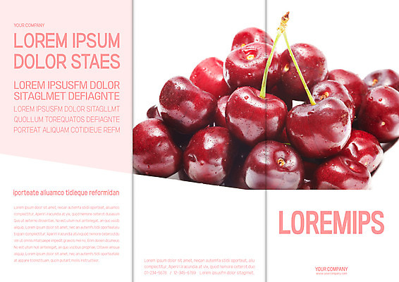 템플릿 표지디자인 북디자인 출판디자인 표지 리플렛 북커버 3단접지 팜플렛 사람없음 신선 체리 이미지템플릿 AI파일 과일 파일형식 벡터