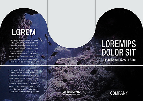 템플릿 표지디자인 북디자인 출판디자인 표지 리플렛 바다 북커버 여러마리 3단접지 자연 어류 팜플렛 사람없음 바닷속 수중 바위 이미지템플릿 AI파일 다수 수중동물 돌_바위 생태계 파일형식 벡터