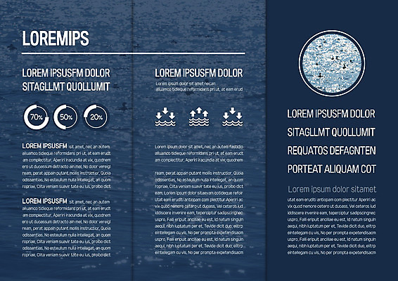 템플릿 표지디자인 북디자인 출판디자인 화살표 내지 리플렛 바다 북커버 3단접지 자연 조류 그래프 팜플렛 사람없음 이미지템플릿 AI파일 동물 생태계 파일형식 벡터