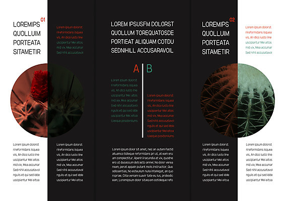 템플릿 표지디자인 북디자인 출판디자인 내지 리플렛 북커버 3단접지 자연 선인장 팜플렛 사람없음 가시 이미지템플릿 AI파일 식물 생태계 파일형식 벡터