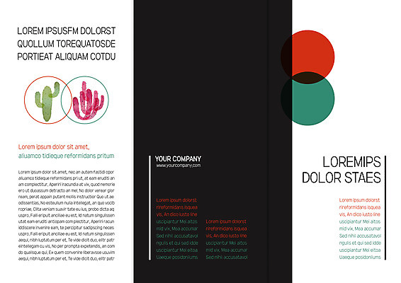 템플릿 표지디자인 북디자인 출판디자인 표지 리플렛 북커버 3단접지 자연 선인장 팜플렛 사람없음 이미지템플릿 AI파일 식물 생태계 파일형식 벡터