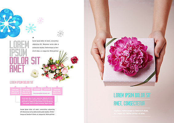 PSD 템플릿 표지디자인 북디자인 손 출판디자인 꽃 내지 리플렛 꽃다발 북커버 들기 팜플렛 신체부위 선물상자 원예 이미지템플릿 식물 모션 선물 사람 취미 상자 파일형식