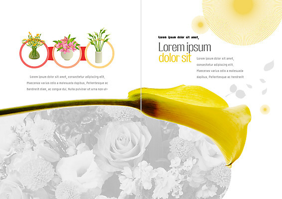 PSD 템플릿 표지디자인 북디자인 출판디자인 꽃 내지 리플렛 북커버 팜플렛 사람없음 장미 꽃병 이미지템플릿 식물 파일형식