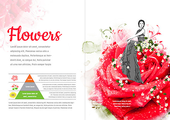 전신 PSD 템플릿 표지디자인 북디자인 출판디자인 드레스 여자 꽃 내지 리플렛 북커버 한명 앉기 팜플렛 20대 성인 장미 한국인 이미지템플릿 식물 1 옷 모션 사람 동양인 청년 파일형식