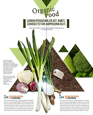 PSD 템플릿 표지디자인 북디자인 출판디자인 내지 리플렛 2단접지 북커버 양파 단면 팜플렛 사람없음 라벨 흙 브로콜리 유기농 양배추 대파 이미지템플릿 웰빙 채소 프레임 파 파일형식