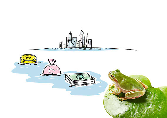 편집이미지 한마리 바다 잎 지폐 비즈니스 포토일러 빌딩 사람없음 달러 동전 돈자루 청개구리 이미지편집 AI파일 식물 1 돈 개구리 건물 파일형식 벡터