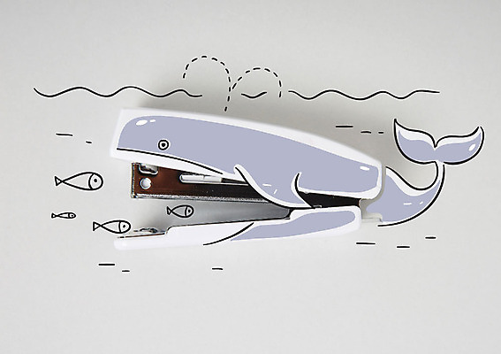 편집이미지 포토일러 어류 사람없음 수중동물 스테이플러 고래 이미지편집 AI파일 동물 포유류 사무용품 파일형식 벡터