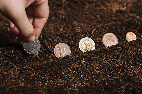 포토 JPG 손 한명 성인 신체부위 금융 동전 흙 외화 심기 국내포토 1 돈 모션 사람 경제 파일형식