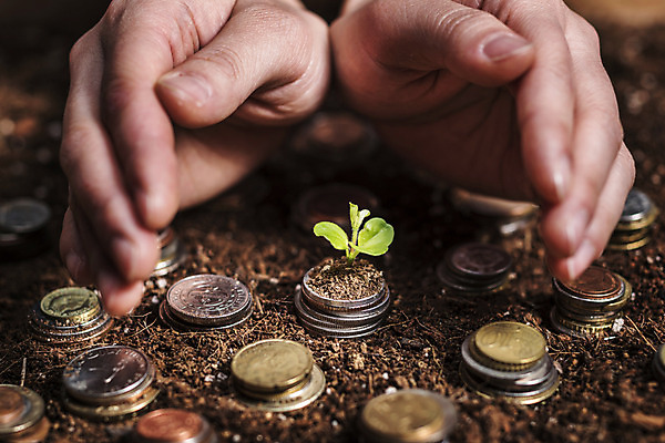 포토 JPG 손 한명 성인 신체부위 금융 새싹 동전 흙 보호 외화 국내포토 식물 1 컨셉 돈 사람 경제 파일형식