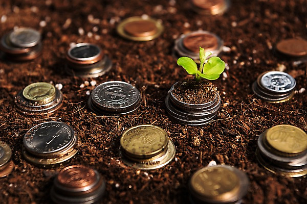 포토 JPG 사람없음 금융 새싹 동전 흙 외화 국내포토 식물 돈 경제 파일형식