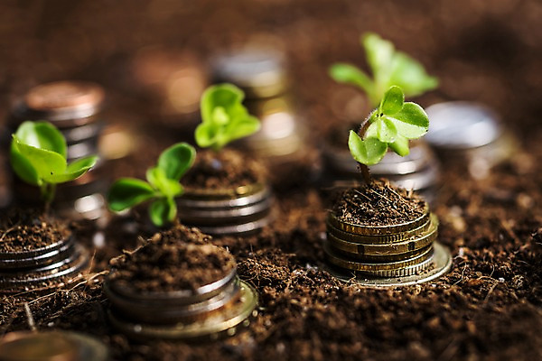 포토 JPG 사람없음 아웃포커스 금융 새싹 동전 흙 국내포토 식물 돈 촬영기법 경제 파일형식