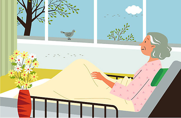 나무 여자 노년 꽃 할머니 일러스트 창문 조류 실내 병원 한명 상반신 실버라이프 꽃병 환자 침대 고독 국내일러스트 AI파일 식물 동물 1 라이프스타일 감정 가구 의학 사람 성인 내부 파일형식 벡터