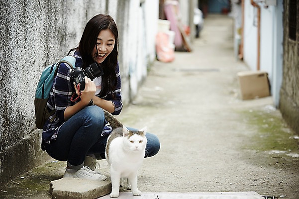 포토 JPG 주간 전신 학생 우먼라이프 응시 여자 대학생 한명 웃음 앉기 20대 성인 야외 앞모습 캐주얼 카메라 마을 고양이 활발 한국인 골목길 취업준비생 주택가 백팩 반려 성인여자한명만 국내포토 자연요소 1 라이프스타일 시선 옷 길 뷰포인트 컨셉 가방 포유류 모션 표정 사람 동양인 청년 전자제품 반려동물 구직 여자한명만 성인여자만 파일형식