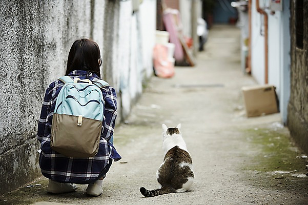 포토 JPG 주간 전신 한마리 학생 우먼라이프 여자 대학생 한명 앉기 20대 성인 야외 뒷모습 캐주얼 마을 고양이 활발 한국인 골목길 취업준비생 주택가 백팩 반려 성인여자한명만 국내포토 자연요소 1 라이프스타일 옷 길 뷰포인트 컨셉 가방 포유류 모션 사람 동양인 청년 반려동물 구직 여자한명만 성인여자만 파일형식