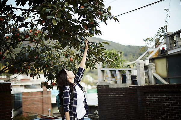 포토 JPG 주간 학생 우먼라이프 응시 여자 대학생 주택 감 한명 서기 웃음 상반신 20대 성인 야외 옆모습 캐주얼 마을 활발 한국인 잡기 감나무 취업준비생 주택가 백팩 손뻗기 성인여자한명만 국내포토 자연요소 나무 1 라이프스타일 시선 옷 뷰포인트 컨셉 가방 과일 모션 표정 사람 동양인 청년 건물 구직 여자한명만 성인여자만 파일형식