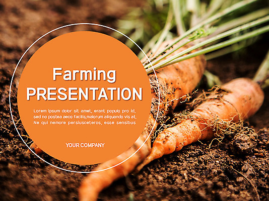템플릿 밭 채소 비즈니스 그래프 사람없음 농작물 세트 당근 PPT 프레젠테이션 문서템플릿 문서 이미지템플릿 농업 뿌리채소 파일형식