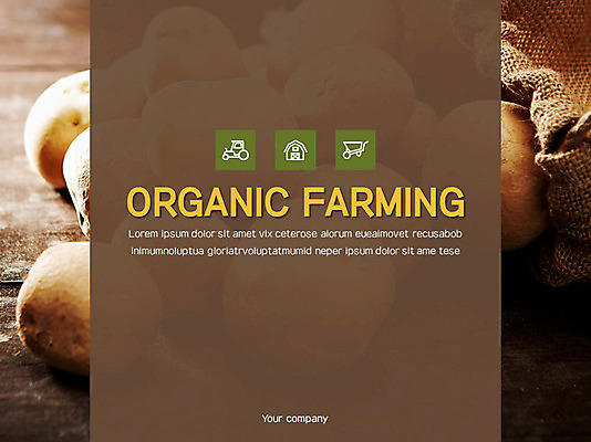 템플릿 밭 비즈니스 그래프 감자 사람없음 농작물 세트 PPT 프레젠테이션 문서템플릿 문서 이미지템플릿 농업 채소 파일형식