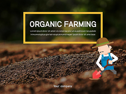 템플릿 남자 40대 밭 비즈니스 그래프 여러명 성인 농작물 세트 한국인 농부 PPT 프레젠테이션 문서템플릿 문서 파 이미지템플릿 직업 중년 다수 농업 채소 사람 동양인 파일형식