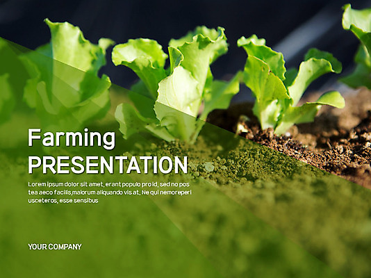 템플릿 남자 40대 밭 비즈니스 그래프 여러명 성인 농작물 세트 한국인 농부 상추 삽 PPT 프레젠테이션 문서템플릿 문서 성인남자만 이미지템플릿 직업 중년 다수 농업 채소 사람 동양인 남자만 성인만 파일형식