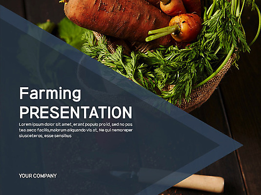 템플릿 비즈니스 그래프 사람없음 세트 흙 당근 PPT 프레젠테이션 문서템플릿 문서 이미지템플릿 뿌리채소 파일형식