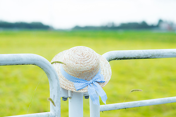 포토 JPG 주간 모자 사람없음 야외 아웃포커스 안전펜스 국내포토 자연요소 잡화 촬영기법 울타리 파일형식